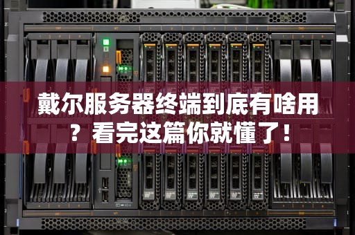 戴尔服务器终端到底有啥用？看完这篇你就懂了！