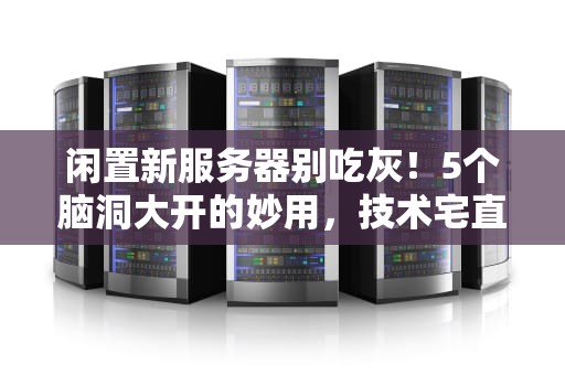 闲置新服务器别吃灰！5个脑洞大开的妙用，技术宅直呼内行