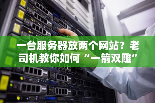 一台服务器放两个网站？老司机教你如何“一箭双雕”不翻车！