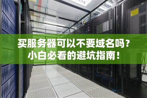 买服务器可以不要域名吗？小白必看的避坑指南！