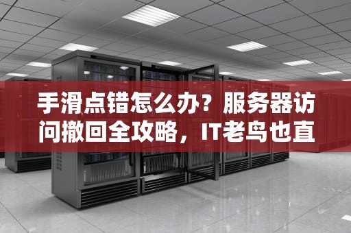 手滑点错怎么办？服务器访问撤回全攻略，IT老鸟也直呼内行！