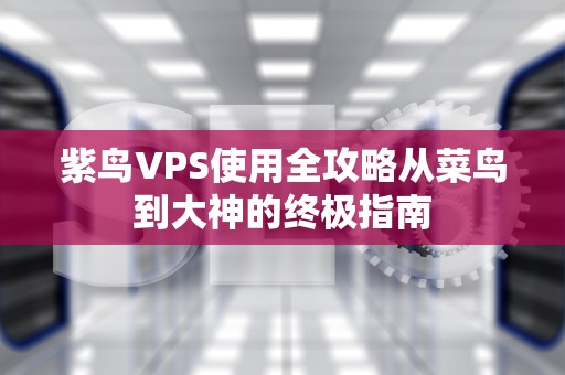 紫鸟VPS使用全攻略从菜鸟到大神的终极指南