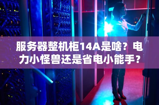 服务器整机柜14A是啥？电力小怪兽还是省电小能手？一文带你搞懂机房“电费刺客”