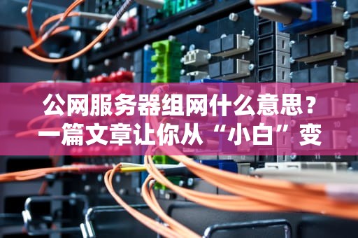 公网服务器组网什么意思？一篇文章让你从“小白”变“组网大神”！