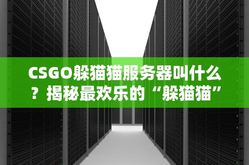 CSGO躲猫猫服务器叫什么？揭秘最欢乐的“躲猫猫”玩法与热门服务器推荐！