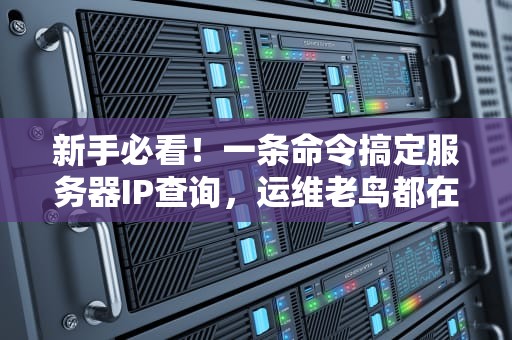 新手必看！一条命令搞定服务器IP查询，运维老鸟都在用的小技巧