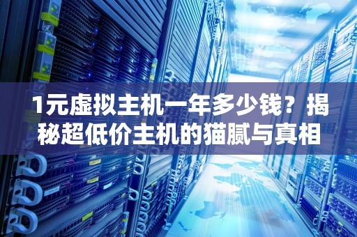 1元虚拟主机一年多少钱？揭秘超低价主机的猫腻与真相！