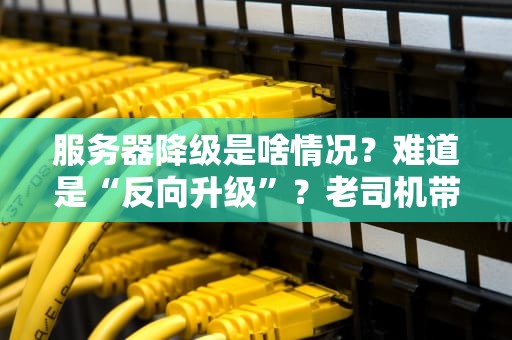 服务器降级是啥情况？难道是“反向升级”？老司机带你揭秘！
