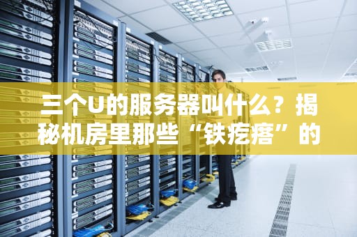 三个U的服务器叫什么？揭秘机房里那些“铁疙瘩”的江湖黑话！