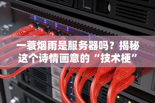 一蓑烟雨是服务器吗？揭秘这个诗情画意的“技术梗”