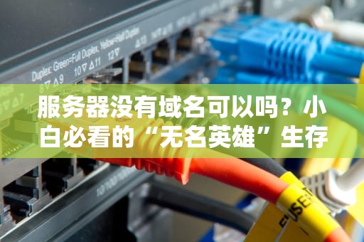 服务器没有域名可以吗？小白必看的“无名英雄”生存指南！