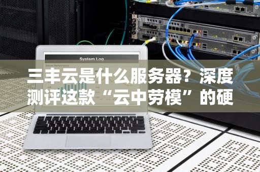 三丰云是什么服务器？深度测评这款“云中劳模”的硬核实力！
