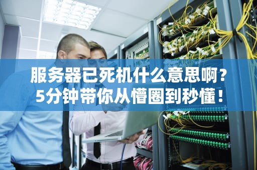 服务器已死机什么意思啊？5分钟带你从懵圈到秒懂！