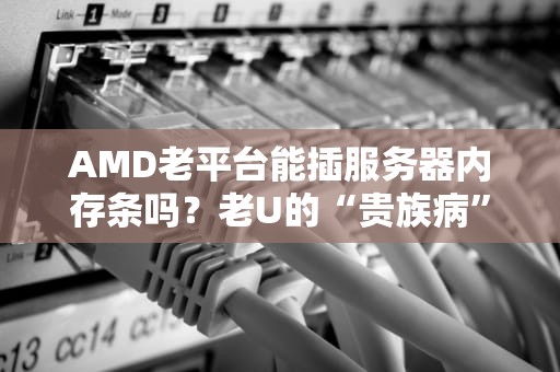 AMD老平台能插服务器内存条吗？老U的“贵族病”有救了！