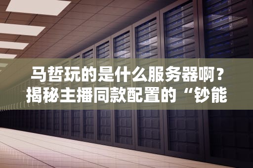马哲玩的是什么服务器啊？揭秘主播同款配置的“钞能力”真相！