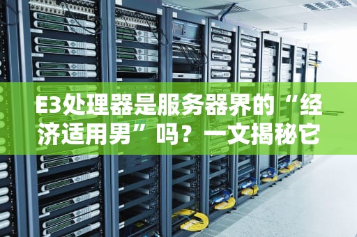 E3处理器是服务器界的“经济适用男”吗？一文揭秘它的真实身份！