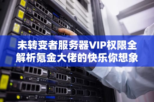 未转变者服务器VIP权限全解析氪金大佬的快乐你想象不到！