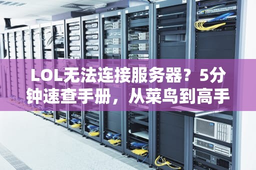 LOL无法连接服务器？5分钟速查手册，从菜鸟到高手的自救指南！