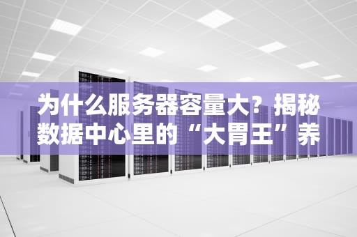 为什么服务器容量大？揭秘数据中心里的“大胃王”养成记！