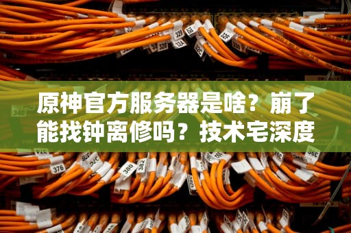 原神官方服务器是啥？崩了能找钟离修吗？技术宅深度揭秘米哈游的“提瓦特基建”！