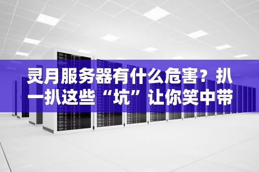 灵月服务器有什么危害？扒一扒这些“坑”让你笑中带泪！