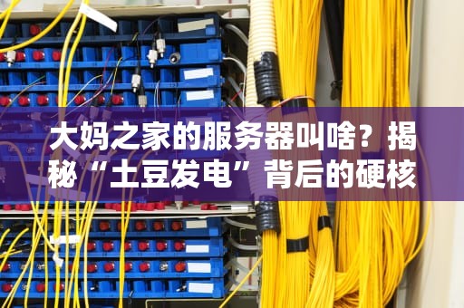 大妈之家的服务器叫啥？揭秘“土豆发电”背后的硬核技术！