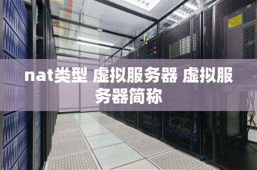 nat类型 虚拟服务器 虚拟服务器简称