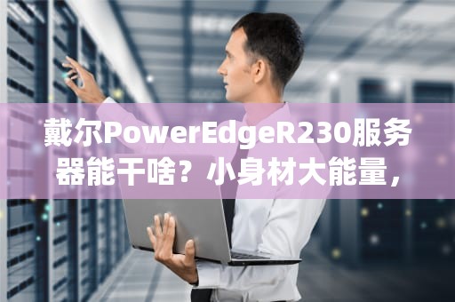戴尔PowerEdgeR230服务器能干啥？小身材大能量，企业级“打工人”的硬核日常！