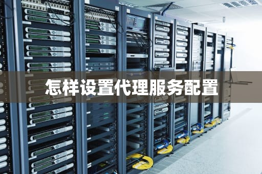 怎样设置代理服务配置