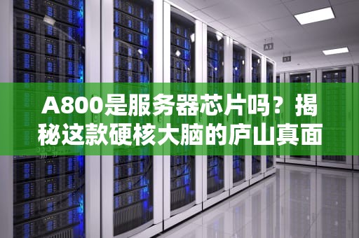 A800是服务器芯片吗？揭秘这款硬核大脑的庐山真面目！