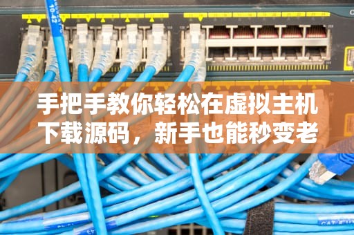 手把手教你轻松在虚拟主机下载源码，新手也能秒变老司机！