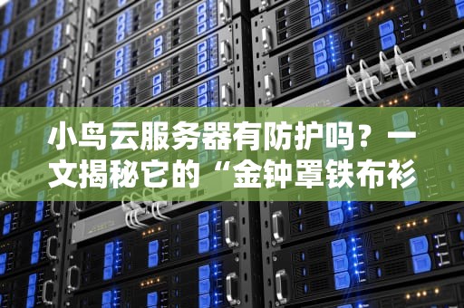 小鸟云服务器有防护吗？一文揭秘它的“金钟罩铁布衫”有多硬核！
