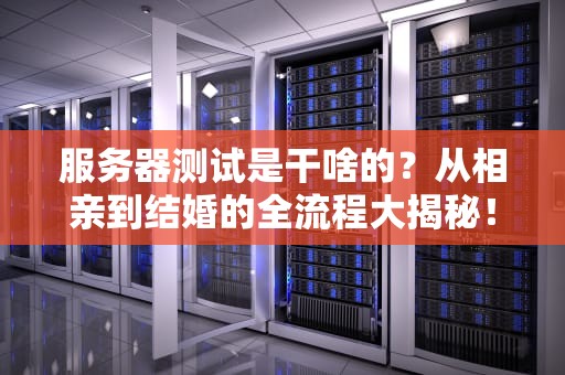 服务器测试是干啥的？从相亲到结婚的全流程大揭秘！