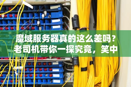 魔域服务器真的这么差吗？老司机带你一探究竟，笑中带泪的测评实录！
