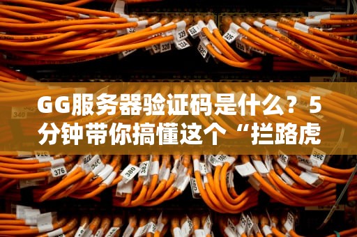 GG服务器验证码是什么？5分钟带你搞懂这个“拦路虎”的底裤！