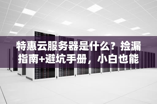 特惠云服务器是什么？捡漏指南+避坑手册，小白也能秒变老司机！