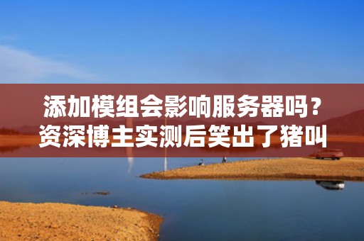 添加模组会影响服务器吗？资深博主实测后笑出了猪叫！