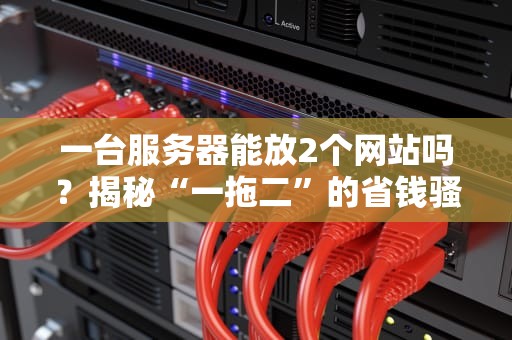 一台服务器能放2个网站吗？揭秘“一拖二”的省钱骚操作！