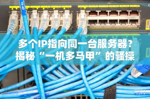 多个IP指向同一台服务器？揭秘“一机多马甲”的骚操作！