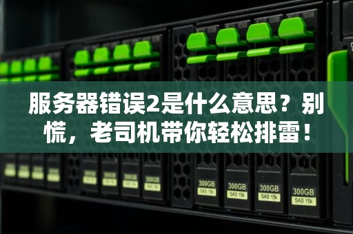 服务器错误2是什么意思？别慌，老司机带你轻松排雷！