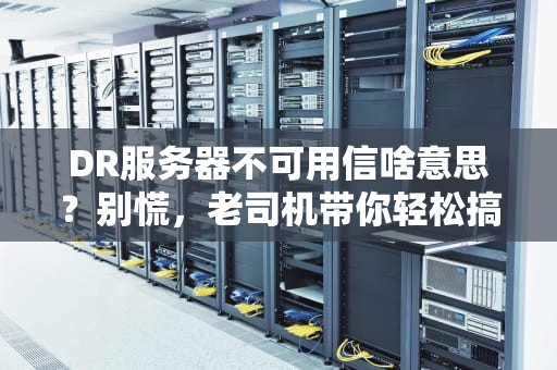 DR服务器不可用信啥意思？别慌，老司机带你轻松搞懂！