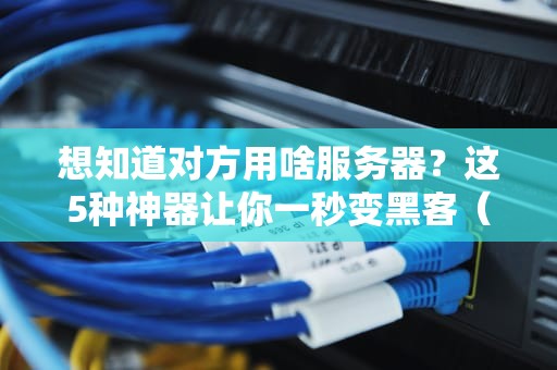 想知道对方用啥服务器？这5种神器让你一秒变黑客（非侵入式）
