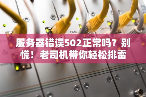 服务器错误502正常吗？别慌！老司机带你轻松排雷