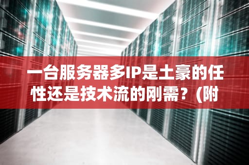一台服务器多IP是土豪的任性还是技术流的刚需？(附实战测评+避坑指南)