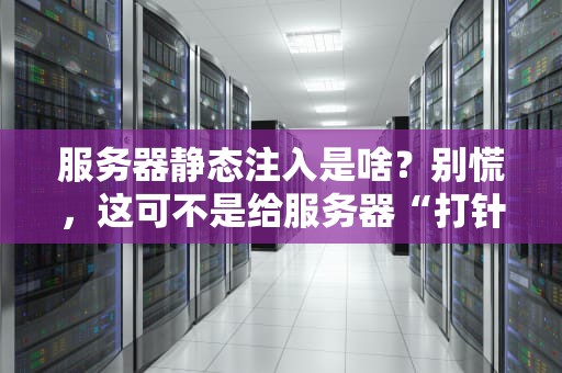 服务器静态注入是啥？别慌，这可不是给服务器“打针”！