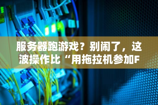 服务器跑游戏？别闹了，这波操作比“用拖拉机参加F1”还离谱！