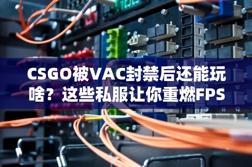 CSGO被VAC封禁后还能玩啥？这些私服让你重燃FPS激情！