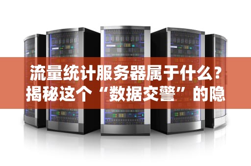 流量统计服务器属于什么？揭秘这个“数据交警”的隐藏身份！