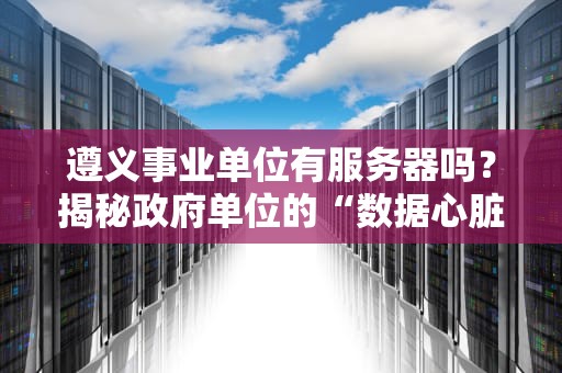 遵义事业单位有服务器吗？揭秘政府单位的“数据心脏”运转内幕！