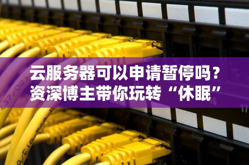 云服务器可以申请暂停吗？资深博主带你玩转“休眠”黑科技！